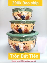 Mẫu chậu mới cho năm nay