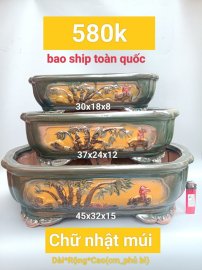 Mẫu chậu mới cho năm nay
