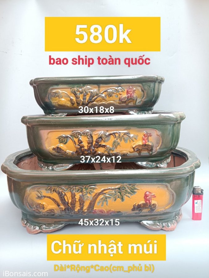 Mẫu chậu mới cho năm nay