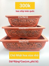 Mẫu chậu mới cho năm nay