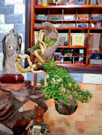 Hương ngày mới