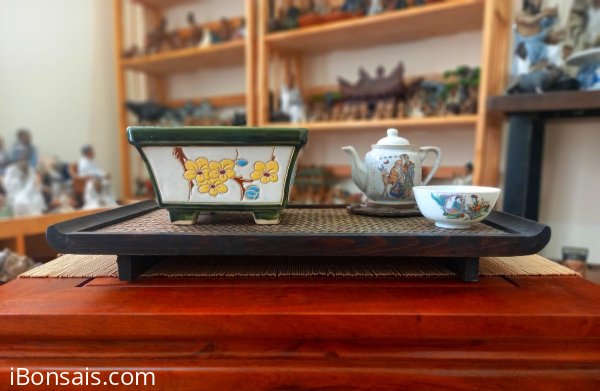 Chậu xưa Biên Hòa tích Mai Lan Cúc Trúc.