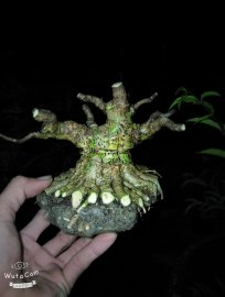 10 tháng của sự chuyển biến!!!
