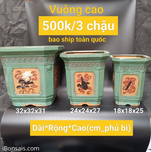 Chậu gốm Bonsai