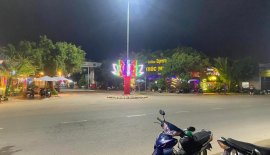 Em có bán bông Cúc trang trí Tết đầy đủ các kích cỡ