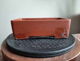 Square Bonsai pot