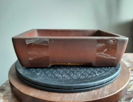 Square Bonsai pot
