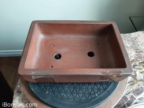 Square Bonsai pot