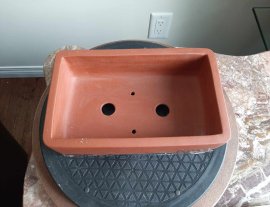 Square Bonsai pot