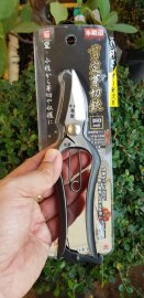 NGÀY 29 VÀ 30 TẾT CHỐT GIÁ 888k