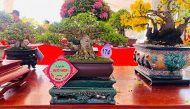 Lộc Lá đầu năm