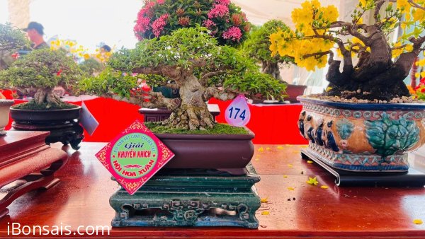 Lộc Lá đầu năm