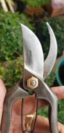 Mồng6 khai xuân PHÁT LỘC 786