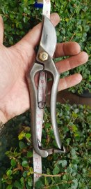 Mồng6 khai xuân PHÁT LỘC 786