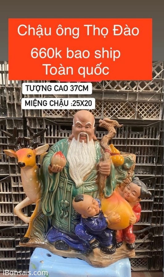 Chậu ông Thọ Đào