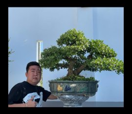 Tác phẩm hải châu 2 người bê
