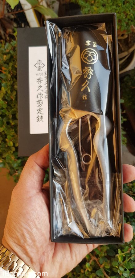 Chủ nhật M9 chốt giá đẹp 1.999k
