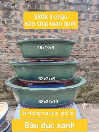 Bầu dục xanh