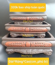 Chốt đk em sale 290k