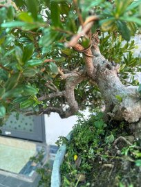 Hải châu biển đảo
