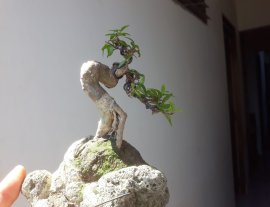Em Kim Dòn siêu mini ký đá thấm thủy...