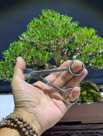 Kéo cắt dây nhôm xỏ ngón