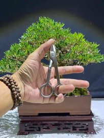 Kéo cắt dây nhôm xỏ ngón