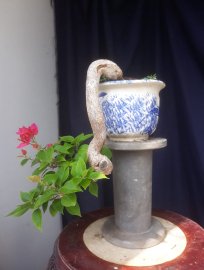 Em Giấy Mỹ zin kiểu đổ treo đang hoa...
