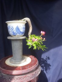 Em Giấy Mỹ zin kiểu đổ treo đang hoa...