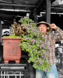 Linh Sam Sông Hinh thép zin