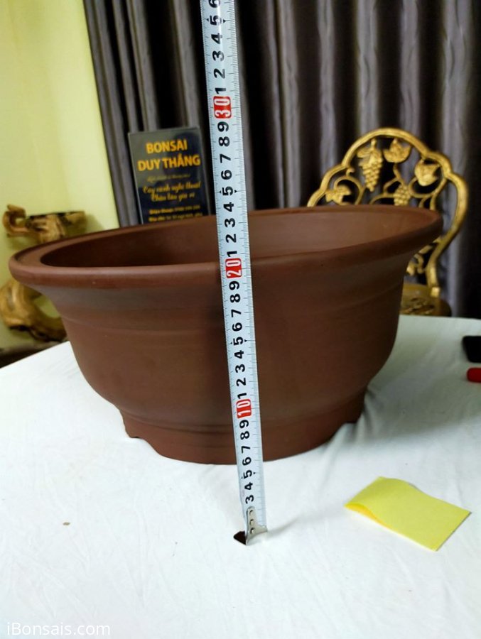 Chậu trồng cây bonsai
