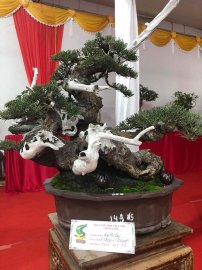 Tác phẩm phi lao quái