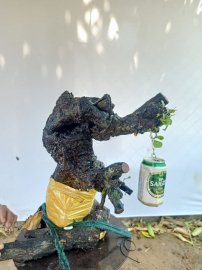 Giao lưu cốt cẩm thị nghệ thuật