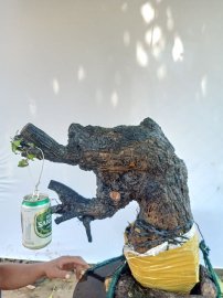 Giao lưu cốt cẩm thị nghệ thuật