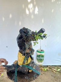 Giao lưu cốt cẩm thị nghệ thuật
