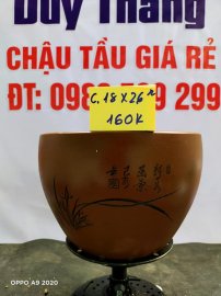 Chậu tàu giá rẻ từ 100k đến 160k