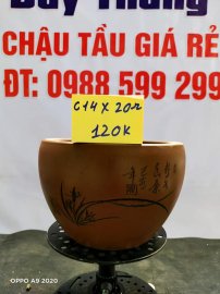 Chậu tàu giá rẻ từ 100k đến 160k