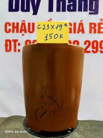 Chậu tàu giá rẻ từ 100k đến 160k