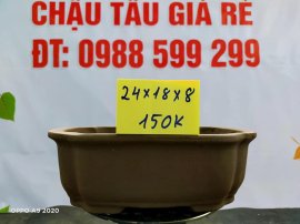 Chậu tàu giá rẻ từ 100k đến 160k