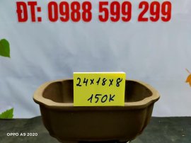 Chậu tàu giá rẻ từ 100k đến 160k