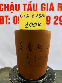 Chậu tàu giá rẻ từ 100k đến 160k