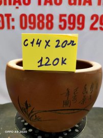 Chậu tàu giá rẻ từ 100k đến 160k