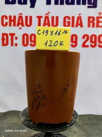 Chậu tàu giá rẻ từ 100k đến 160k