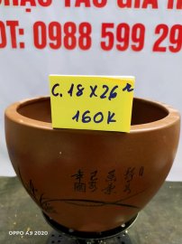 Chậu tàu giá rẻ từ 100k đến 160k