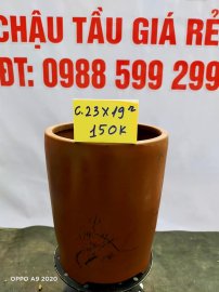 Chậu tàu giá rẻ từ 100k đến 160k