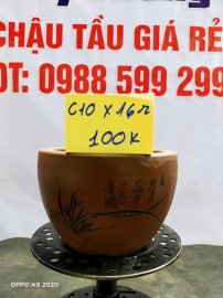 Chậu tàu giá rẻ từ 100k đến 160k