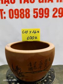 Chậu tàu giá rẻ từ 100k đến 160k