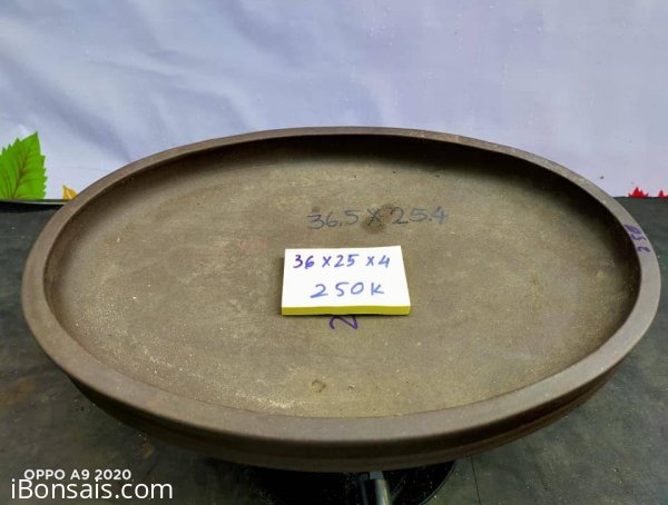 Chậu tàu giá rẻ từ 200k đến 250k