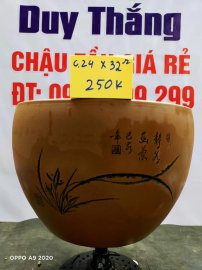 Chậu tàu giá rẻ từ 200k đến 250k