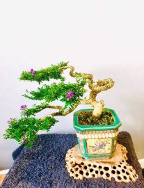 CÁCH CHƠI KHÁC, GÓC NHÌN KHÁC